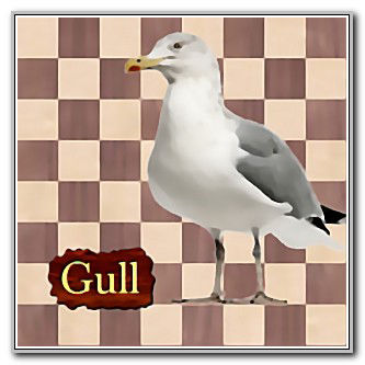 Gull (GullChess)