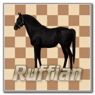 Ruffian