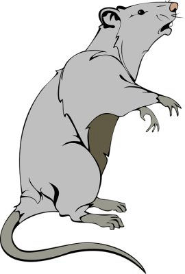 Difesa Rat